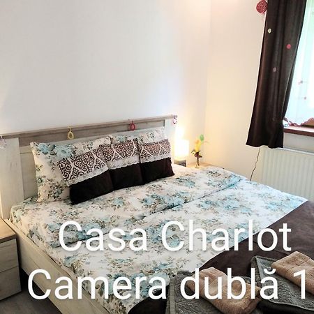 Casa Charlot Daire Braşov Dış mekan fotoğraf