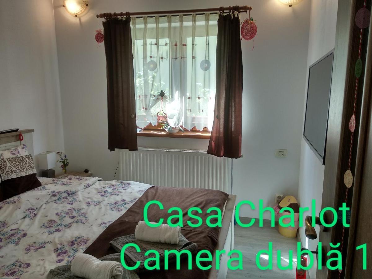Casa Charlot Daire Braşov Dış mekan fotoğraf