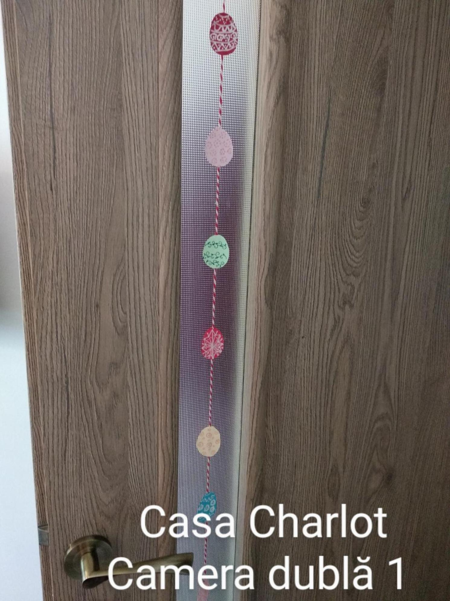Casa Charlot Daire Braşov Dış mekan fotoğraf