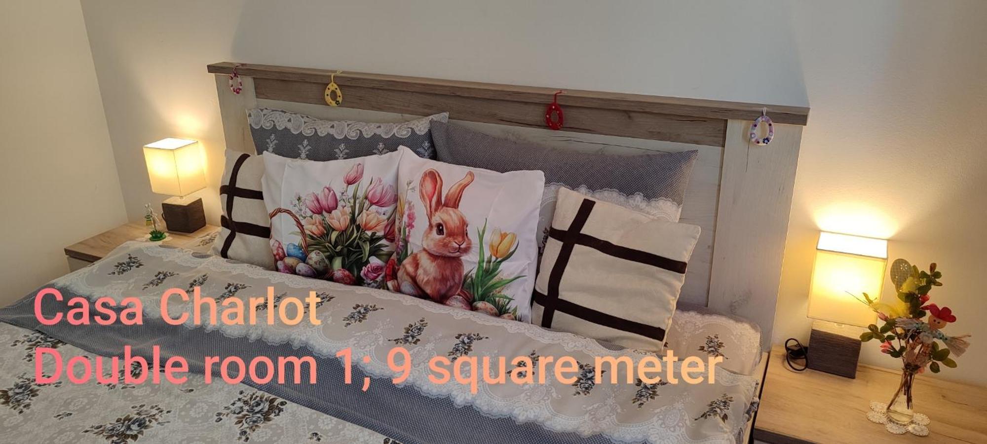 Casa Charlot Daire Braşov Dış mekan fotoğraf
